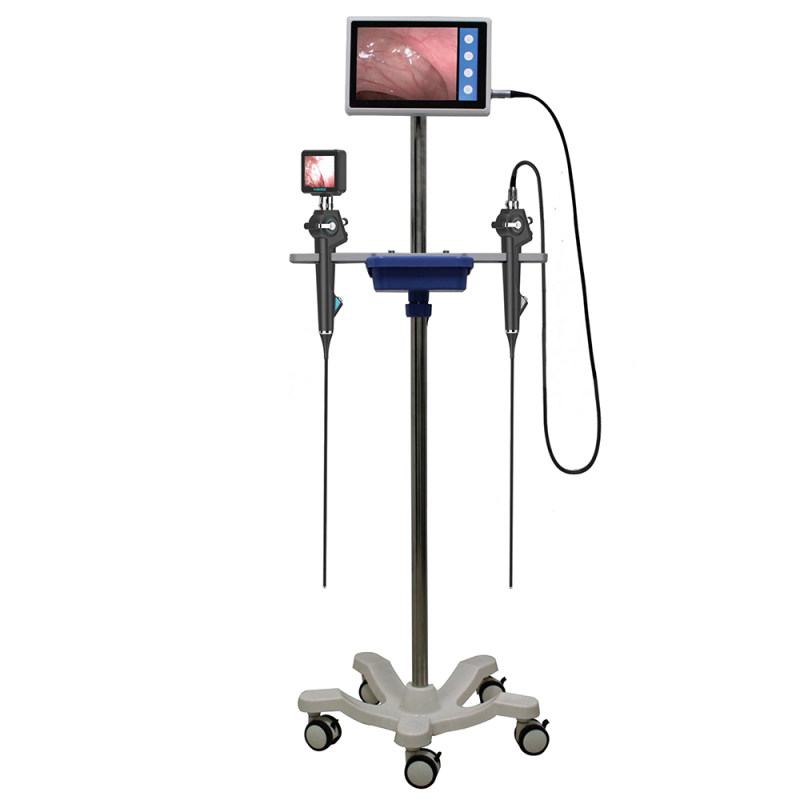 Bedside Electronic Bronchoscope